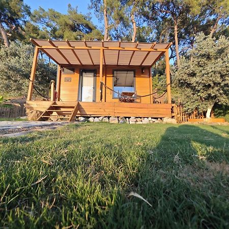 Hotel Tiny Mini House Dalaman Exterior foto