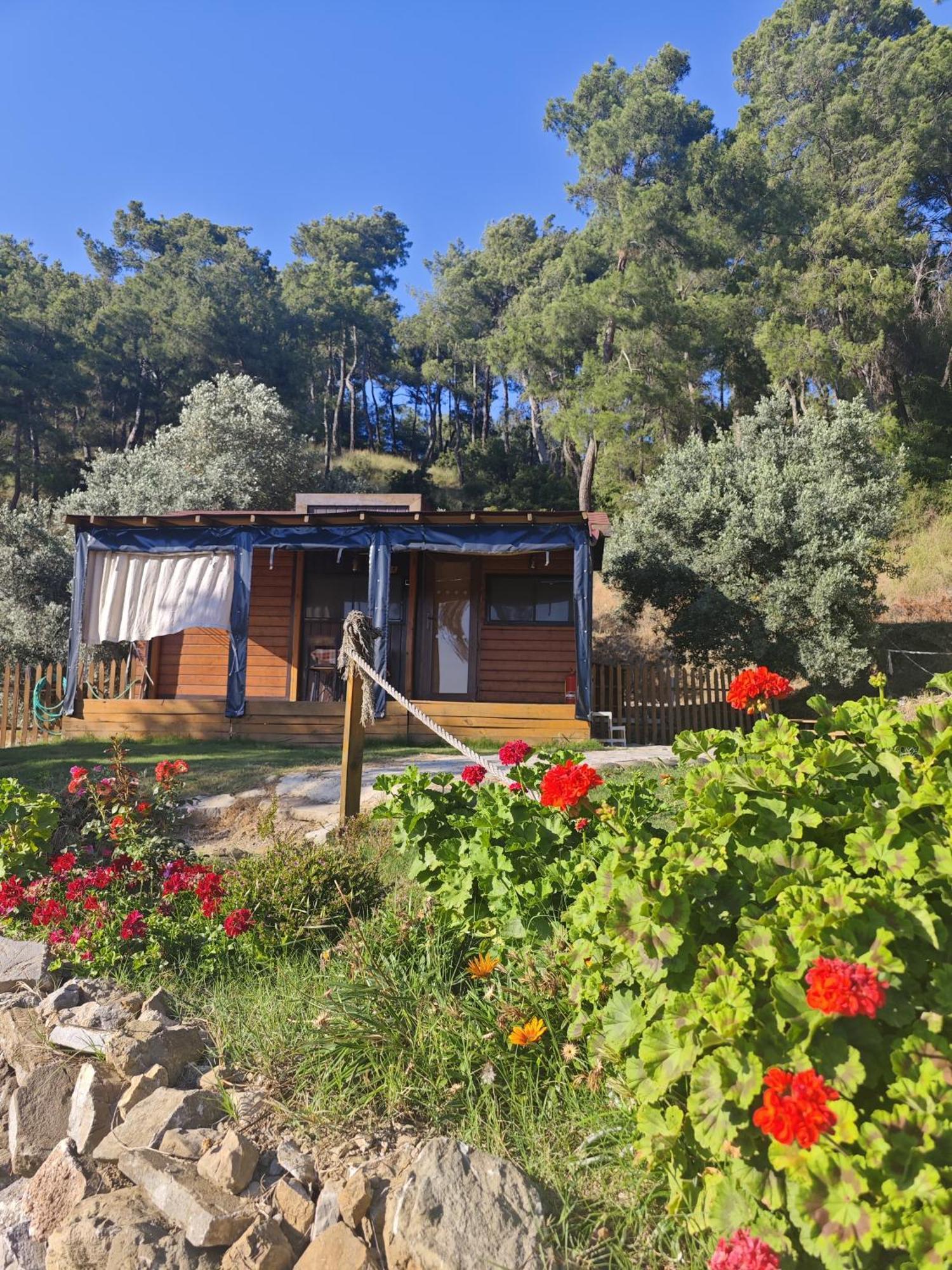 Hotel Tiny Mini House Dalaman Exterior foto